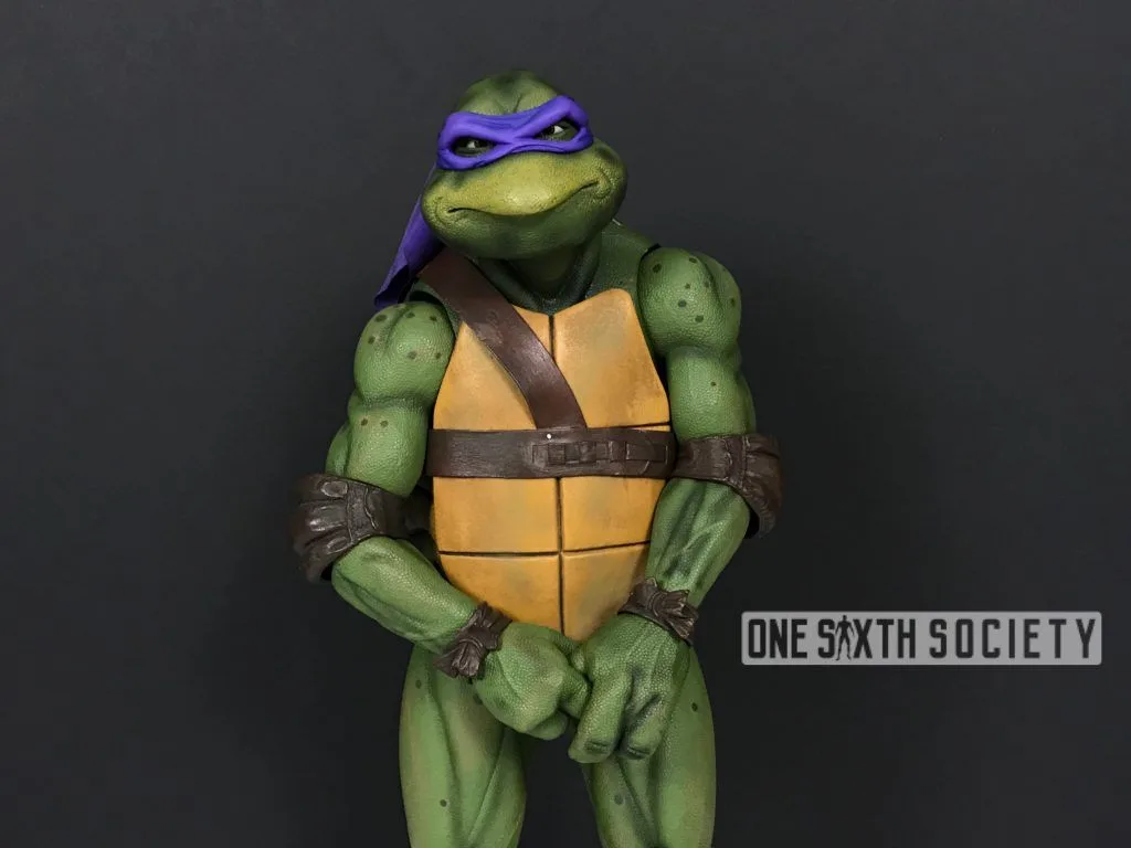 Front view of NECA Donatello with both hands lowered at his waist, showing the chest shell, brown harness and purple mask.