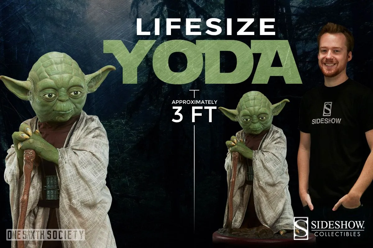 Life-size Sideshow Yoda in a pale robe holding a cane, shown in close-up and standing beside an adult for scale.
