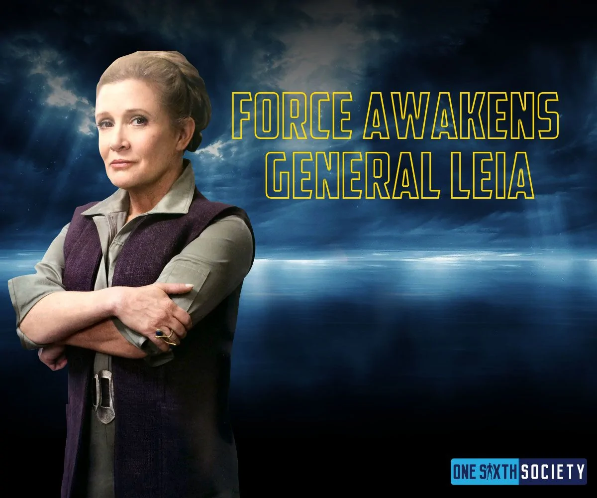 General Leia with her arms folded, wearing a gray shirt and dark vest beside the words Force Awakens General Leia.